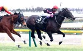 奇跡的なサイン馬券にネット騒然「まじでミクー」「出来過ぎじゃない？」　初音Ｓは３→９の出目で決着