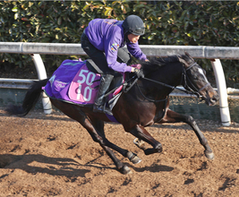 【注目馬動向・３歳】アドマイヤシュラは忘れな草賞へ　フロムレイブンは浜中俊騎手で報知杯ＦＲへ