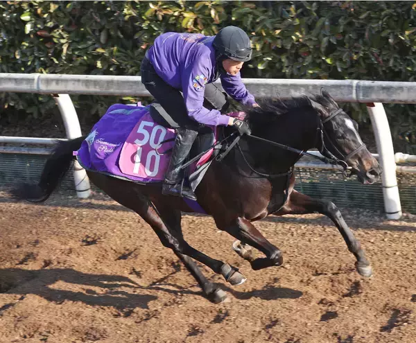 【注目馬動向・３歳】アドマイヤシュラは忘れな草賞へ　フロムレイブンは浜中俊騎手で報知杯ＦＲへ