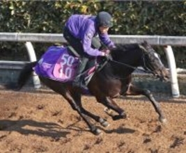 【注目馬動向・３歳】アドマイヤシュラは忘れな草賞へ　フロムレイブンは浜中俊騎手で報知杯ＦＲへ