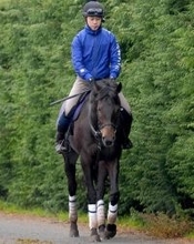 【注目馬動向】ドバイ・ターフで復帰予定のミュージアムマイルが栗東で調教再開　高柳大調教師「いつもと変わらず」