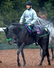 【注目馬動向】ホープフルＳ勝ちのロブチェンは皐月賞　武幸厩舎のブラックチャリス、リリージョワは桜花賞の鞍上決定