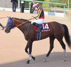 【日経賞】後方追走から３着のローシャムパークに「いいタイミングで外に出せなかった」と悔やむルメール騎手