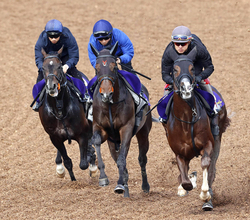 【皐月賞】上原佑調教師「これからの関東を背負うジョッキー」　佐々木大輔騎手がライヒスアドラーと頂点へ