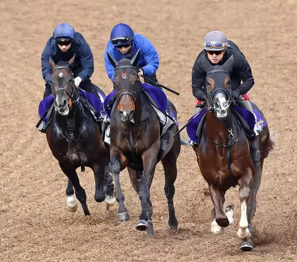 【皐月賞】上原佑調教師「これからの関東を背負うジョッキー」　佐々木大輔騎手がライヒスアドラーと頂点へ