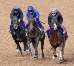 【皐月賞】上原佑調教師「これからの関東を背負うジョッキー」　佐々木大輔騎手がライヒスアドラーと頂点へ