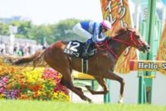 【テレ玉杯】「最高です！　夢でした」短期免許で来日中のゴンサルベス騎手が東京初勝利　エルマーゴを勝利導く