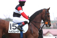 崖っぷちの３・２億円馬が待望の初Ⅴ　「めっちゃ冷や冷や」「負けたかと…」ヘイジュードが首差で未勝利脱出