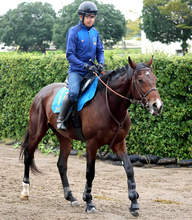 【ジャパンダートクラシック・枠順確定】史上初の３冠かかるフィンガーは５枠１０番　ホリエモンの愛馬イッテラッシャイは８枠１５番