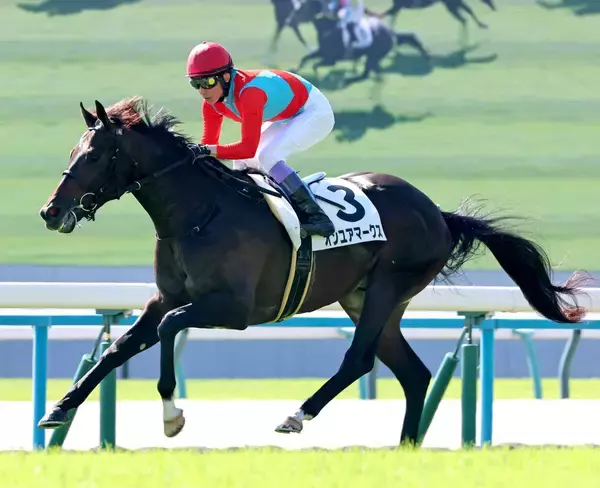 【注目馬動向】武豊騎手でレコード勝ちのオンユアマークスは東京スポーツ杯２歳Ｓで重賞初挑戦