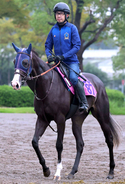 【今週のトク注新馬】イクイノックス全妹が兄と同じルメール騎手で３１日デビュー「どんどん良くなる」
