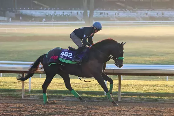 【ＢＣマイル】ルガルが泉谷楓真騎手を背にダートコースで軽快　「ゴール板を過ぎてからもしっかりペースを落とさずに」