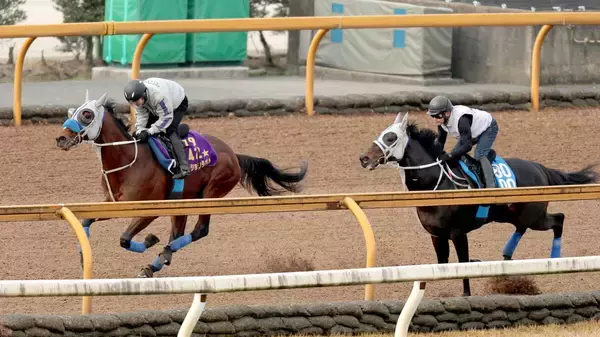 【有馬記念２週前】「ムキになって走る感じ解消」メイショウタバルが春秋グランプリ制覇へ石橋調教師評価