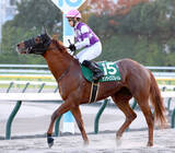 「【兵庫ＧＴ】５９キロのサンライズフレイムは「浦和のような競馬ができれば崩れない」　出走馬の全陣営コメント」の画像1