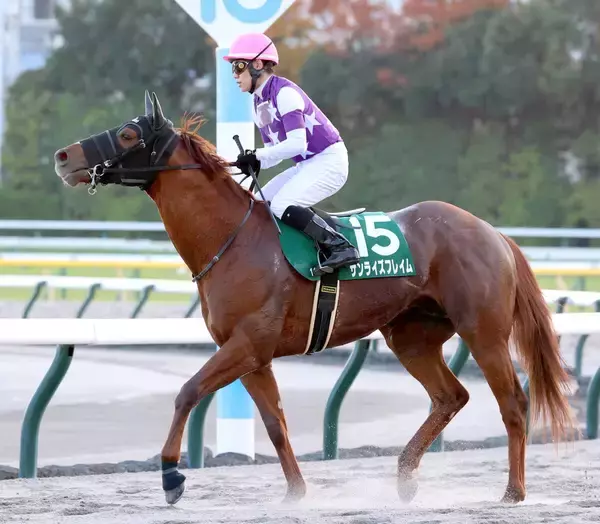 【兵庫ＧＴ】５９キロのサンライズフレイムは「浦和のような競馬ができれば崩れない」　出走馬の全陣営コメント
