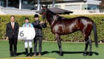 【中山６Ｒ・２歳新馬】コンジェスタスが好位からグイッとひと伸び　Ｃデムーロ騎手「余裕がある感じ」