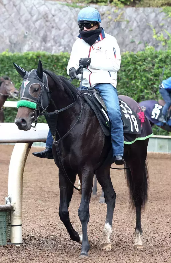 【注目馬動向・３歳】黄菊賞３着のダークマルスは若駒Ｓへ　エアビーアゲイルはフラワーＣを目標