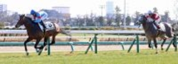 【中山５Ｒ・３歳新馬】４３頭除外の“超高倍率”レース　勝ったのは「強運の持ち主」サンプレクス