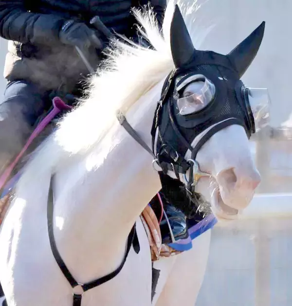 【クイーンＣ】「追ってからがもう一つ…」武豊騎手ガックリ　ソダシの半妹、白毛馬マルガは７着どまり