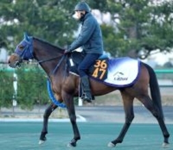 【雲取賞】ルメール騎手のマクリールは１３番　ハイセイコー記念の覇者のゼーロスは５番　枠順確定