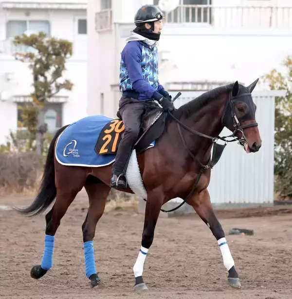 アッカン、コレオシークエンスが英ダービーに予備登録　出走なら日本調教馬で初