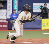 「【阪神】中野拓夢、通算１００盗塁達成「まだまだ通過点。１５０、２００と数を増やせるように」」の画像1