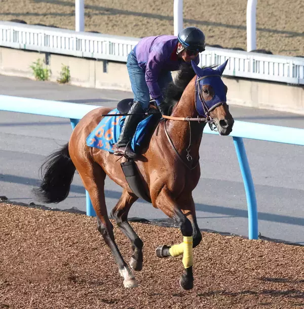 【平安Ｓ】砂のダービー馬が徹底先行策で完全復活だ！　ナルカミに田中博調教師「今回はハナにこだわる」
