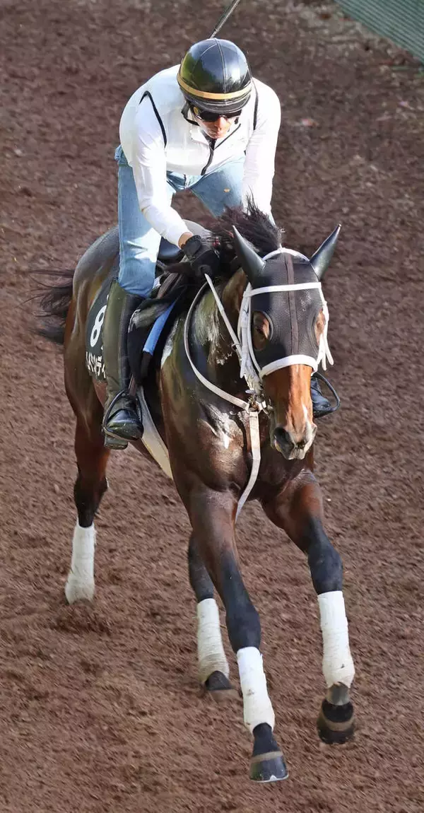 【葵Ｓ】川又賢治騎手「こんな程度で終わる馬じゃない」函館２歳Ｓ勝ち馬で２番人気のエイシンディードは６着　