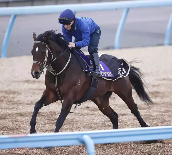 【函館スプリントＳ】２年連続で参戦のインビンシブルパパ　馬具外して仕切り直しの一戦へ　陣営「環境の変化に動じないです」