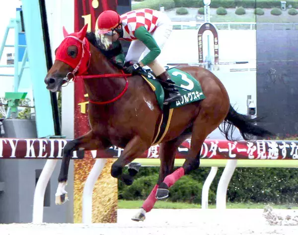 【大井競馬】高橋清顕厩舎所属馬が２歳戦を２勝　好素材ムソルグスキーは新馬戦快勝「能力試験の動きから走るだろうとは思っていたし完成度も高い」