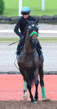 「【小倉記念】重賞で２着３回ジョバンニ初勝利挙げた小倉で今度こそ！　陣営「ひとつタイトルがここで欲しいね」　」の画像1