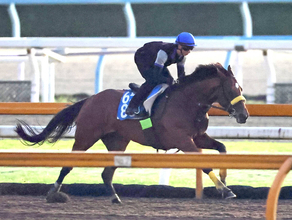 【２１日の注目・阪神１０Ｒ】メモリアルレースにキタサンブラックの半弟が登場　兄と同じ武豊騎手×清水久厩舎