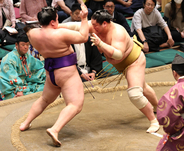 十両・輝が１１勝目で単独首位保持　「必死だった」横綱・大の里は幕内トップ　あるぞ石川勢“２階級制覇”