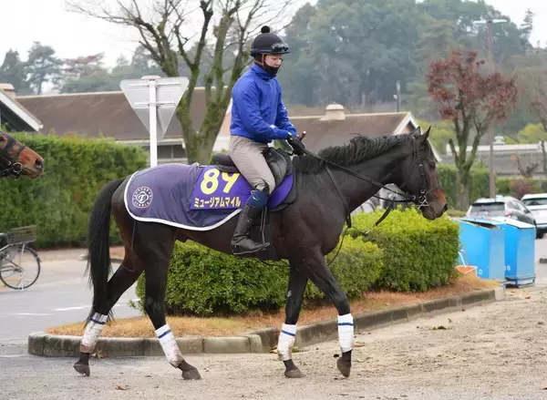 【注目馬動向】有馬記念を制したミュージアムマイルがドバイ・ワールドカップデー３競走に予備登録