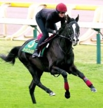 「良質な牝馬」オーギュストロダンの初年度産駒誕生に歓喜の声「遂に誕生！」「素晴らしい」