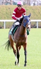 ７度目の重賞２着にも「かっこよかったぞ！」「ほんまにえらい」ＳＮＳ上では称賛の声　ボンドガールが小倉牝馬Ｓで奮走