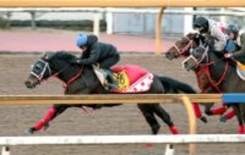 【東京新聞杯１週前】ラヴァンダが巻き返しに向けて抜群の動き　中村調教師「１週前なのでしっかりやろうと」