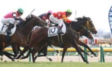 【東京７Ｒ・３歳１勝クラス】単勝１７５・２倍のトラスコンガーデンが勝利！　田辺裕信騎手「まだ読めない」