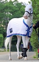 白毛のアイドルホース・ソダシの２番子になる鹿毛の牡馬が誕生「元気な男の子を出産しました！」父はイクイノックス