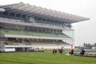 【中京競馬・２８日の馬場】芝は今週からＢコース使用で先行馬の残り目に注意　ダートは前で運べる馬が基本的に有利