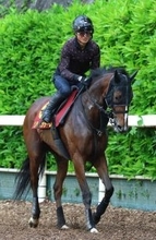 【オークス】血統馬のソルパッサーレが忘れな草賞の大敗から反撃へ　陣営「一回一回この馬の成長を感じます」