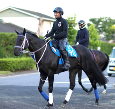 【注目馬動向】モックモックは繰り上がりなら帝王賞、除外なら阿蘇Ｓへ　ヤマニンウルスは昨年Ｖの東海Ｓが目標