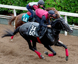 【ラジオＮＩＫＫＥＩ賞】松永幹調教師「小回りのコース形態はいい」と自信　バドリナートが福島で巻き返す