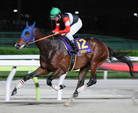 【注目馬動向】砂２冠馬のフィンガーは戸崎圭太騎手とのコンビでパシフィッククラシック・米Ｇ１挑戦が決定