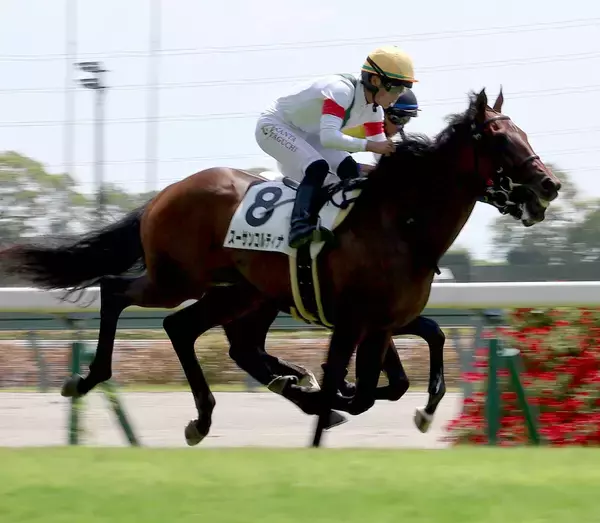 【中京３Ｒ・２歳新馬】９番人気の伏兵スーサンコルティナが差し切る　田口貫太騎手「追ったら追った分だけ伸びてくれました」