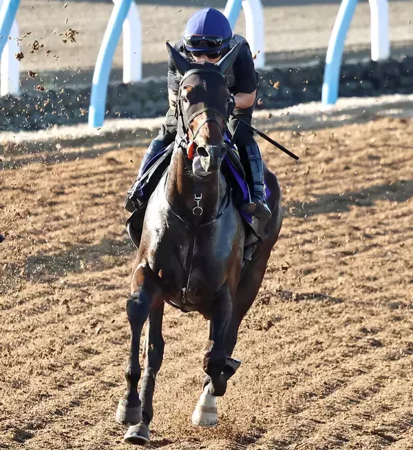 【注目馬動向】佐渡Ｓでオープン入りした皐月賞３着馬ライヒスアドラーは毎日王冠へ
