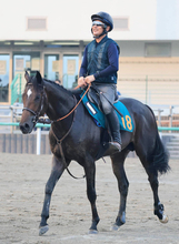 【２歳未勝利・三戸の特注馬】３冠牝馬リバティアイランド半弟のダノンダックスが負けられない戦い　田中博師「来年のクラシックに向けて…」