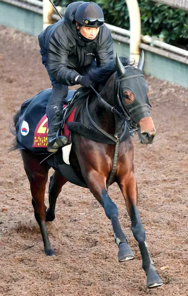 【阪神ＪＦ】マーゴットラヴミーは中１週でもパワーアップ　小林調教師「エネルギーに満ちあふれている」