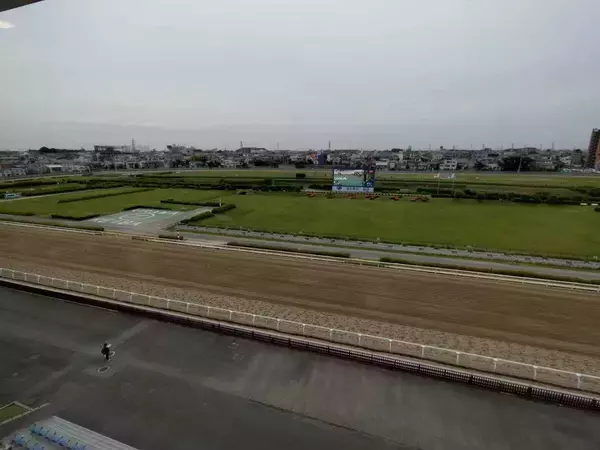 浦和競馬で実況泣かせの珍名馬対決にＳＮＳ爆笑「トラップな実況過ぎる」「ワイド馬券を衝動買い」