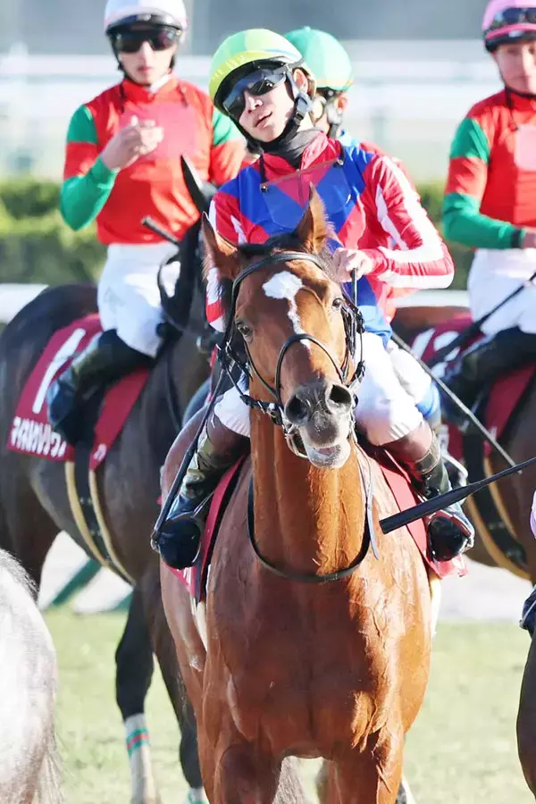 【日経新春杯】「この差なので悔しい」松山弘平騎手　逃げ粘った１１番人気ファミリータイムが首差２着　